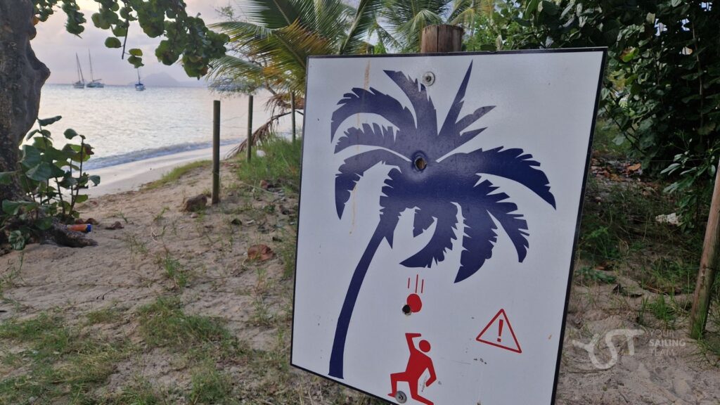 owoce spadające z drzewa